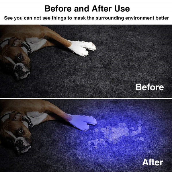 LED UV Flashlight Ultraviolet Torch With Zoom Function UV Black Light Pet Urine Stains Detector - My Cool Collection